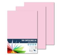 RAYLU PAPER - Cartoncini Colorati A4, 100 Pezzi Fogli Colorati 180g/m², 210 x 297 mm, Carta Colorata Proffesionale per l’ufficio e per l'artigianato (Rosa)