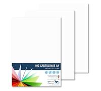 RAYLU PAPER - Cartoncini Colorati A4, 100 Pezzi Fogli Colorati 180g/m², 210 x 297 mm, Carta Colorata Proffesionale per l’ufficio e per l'artigianato (Bianco)