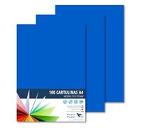 RAYLU PAPER - Cartoncini Colorati A4, 100 Pezzi Fogli Colorati 180g/m², 210 x 297 mm, Carta Colorata Proffesionale per l’ufficio e per l'artigianato (Blu Marino)