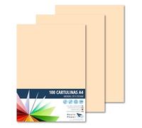 RAYLU PAPER - Cartoncini Colorati A4, 100 Pezzi Fogli Colorati 180g/m², 210 x 297 mm, Carta Colorata Proffesionale per l’ufficio e per l'artigianato (Crema)
