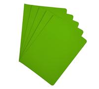 Raylu Paper® - Confezione da 25 sottocartelle in cartoncino per documenti, con fori per fastener e colori vivaci. Cartelline in cartoncino kraft spesso da 200 g (verde, A4)