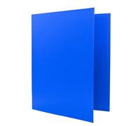 Raylu Paper - Raccoglitore a 2 anelli a D, raccoglitore A4 con anelli per documenti, formato A4, altezza 33,5 cm x larghezza 26 cm (blu, dorso 40 mm)