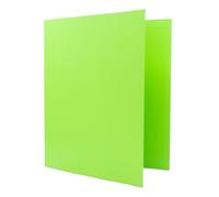 Raylu Paper - Raccoglitore a 2 anelli a D, raccoglitore A4 con anelli per documenti, formato A4, altezza 33,5 cm x larghezza 26 cm (verde chiaro, dorso 25 mm)