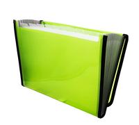 Raylu Paper® - Raccoglitore per documenti a fisarmonica a 12 scomparti, raccoglitore in plastica per ufficio con divisori e bordi rinforzati (verde chiaro)