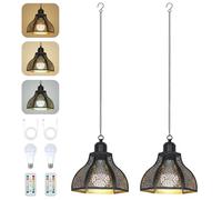 Rayofly 2 Pezzi Lampada a Pendente Ricaricabile da Interno, Luce a Pelo da Esterno con Batteria, Lampada a Pelo Nera Senza Collegamento Elettrico, Luci da Giardino da Esterno con Bulbo & Telecomando