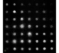 A Beat Of Silence - Rayon (Audio cd)