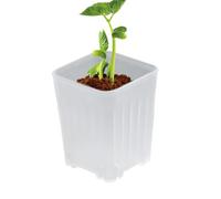 Raypontia Vasi Per Piante Da Vivaio - Mini Vaso,10 Pezzi Piccoli con Fori di Drenaggio per Talee da Giardino Balcone Esterno Interno Salotto Scrivania