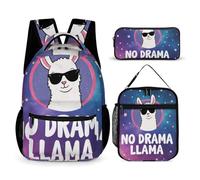 rayprint Set di borse per laptop con borsa per il pranzo e zaino da viaggio per il trucco (senza drammi)