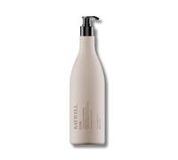 Raywell ETERNA Conditioner - Condizionatore di protezione del colore con Longevity Color Complex, cura per capelli tinti, migliora la lucentezza e la pettinabilità, 1000 ml