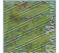 Raz Mesinai Cyborg Acoustics (CD) Album