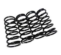 Rc Molle Ripara Per Traxxas Per E-Revo E Per Revo 2.0 Per Revo | RC Car Parti Ricambio Molle Rialzate Per Supporto Sospensione Stabile E Montaggio Semplice Accessori