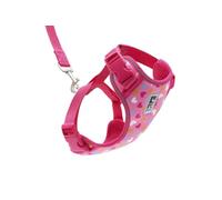 RC Pets Adventure Kitty Harness include regolabile, tessuto Airmesh, guinzaglio da 1,8 m e imbracatura per gatti con anello a D | Lil Heart, Small