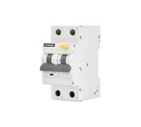 RCBO 2P B 10A 30mA Type AC SCHELINGER