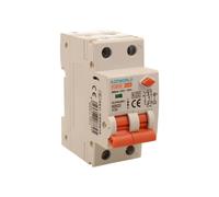 RCBO Doppia Leva, Interruttore Magnetotermico Differenziale Tipo A Curva C 1P+N