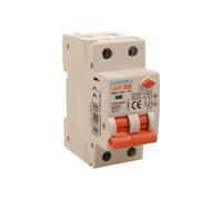 RCBO Doppia Leva, Interruttore Magnetotermico Differenziale Tipo AC Curva C 1P+N