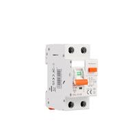 RCBO Type A 1P+N Residual Automatic Circuit Breaker With Over Current Leakage Protection 6KA 2P DPN 30mA EKL13 RUAJOGYNVM(60A)