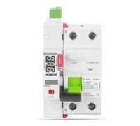 RCD RCCB Tipo AC Dispositivo di autorichiusura automatico intelligente Interruttore differenziale 2P 230V 6KA 63A 10mA 30mA 100mA 300mA(30mA)