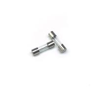 RCGKNNMUZ Fusibile 10/20 Pezzi 5x20mm Fusibile Tubo di Vetro ad Azione Rapida Kit di Corrispondenza 0.1A-30A F2AL 2.5A 250V Fusibile ad Azione Rapida