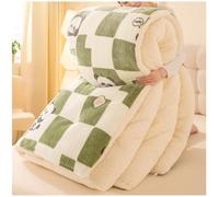 RCGNR Piumino Invernale, Trapunta Invernale in Lana di Agnello, Trapunta in Velluto di Agnello Addensante Invernale, Piumino 4 Stagioni in Piuma, Piumino Reversibile Coperta H, 200x230cm/5kg