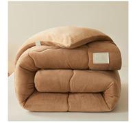 RCGNR Piumino Spessa E Calda per l'inverno, Trapunta Tinta Unita Core Velluto di Latte Calda Trapunta Piumone Invernale + Imbottitura in Microfibra, Piumone Trapunta B, 200x230cm/3kg