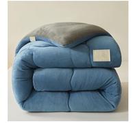 RCGNR Piumino Spessa E Calda per l'inverno, Trapunta Tinta Unita Core Velluto di Latte Calda Trapunta Piumone Invernale + Imbottitura in Microfibra, Piumone Trapunta D, 220x240cm/4kg