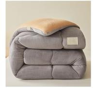 RCGNR Piumino Spessa E Calda per l'inverno, Trapunta Tinta Unita Core Velluto di Latte Calda Trapunta Piumone Invernale + Imbottitura in Microfibra, Piumone Trapunta C, 220x240cm/4kg