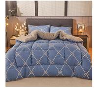 RCGNR Trapunta Invernale in Lana di Agnello, Coperta Pesante per Letto, Piumino Matrimoniale Invernale Caldo, Piumino 4 Stagioni in Piuma, Leggero E Caldo C, 150x200cm/3.5kg