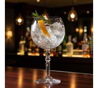 RCR Alkemist Set 6 Calici Gin Tonic Cristallo Luxion | Gagliardi Shop