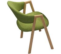 RDIAYDN Sedie da pranzo gambe in metallo sedie da soggiorno, sgabello da computer schienale bar mensa ufficio bancone sedia lounge poltrona da cucina (colore: grigio chiaro) (verde)
