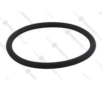 RDL guarnizione anello Oring pressa cialda macchina caffè Maxi Pro Mini 4175