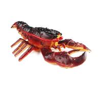 Rdxanc Modello animale marino artificiale aragosta figurine di frutti di mare figure per la decorazione domestica Attività a tema Educazione
