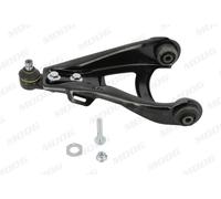 RE-WP-2037 Braccio oscillante, Sospensione ruota Moog