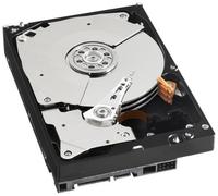 RE4 WD5003ABYX RE4 3.5" disco rigido interno - 500 GB + ReadyCache SSD interno - 32 GB