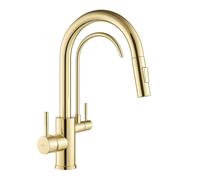 Rea Eco Fresh rubinetto da cucina verticale oro/oro antico REA-B8989