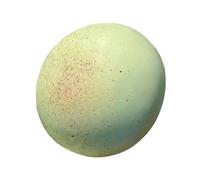 Realistic Bread Squeeze Toy - Soft Fidget Toy, Stress Relief with Tactile Fun, Sensory Gadget, Play Accessory, Relaxation Tool for Reducing Boredom Enhancing Focus at Home School Office