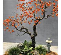 Realistic Decorative Fruit Tree,Artificial Bonsai with Green Leaves Fake Persimmon Plant, for Living Room Wedding Hotel Shopping Mall Decoration(2.5M)