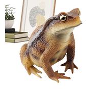Realistic Frog Figurines - Educational Science Diorama Model, Detailed Amph