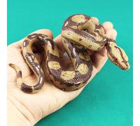 Realistic Snakes Giocattolo Vivid Serpente Figura Falso Snake Model Bambini