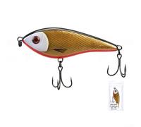 Realistico Pesce Lure 10cm 35g ABS Hard Bait | Aspetto realistico del pesce 3D, consistenza forte, immagine vivida, attira efficacemente i pesci predatori