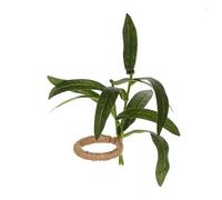 Realistico Simulato Pianta Decors Bella Pianta Portatovaglioli Elegante Tavolo Abbellimenti Portatovaglioli Anelli Atmosfera Naturale Pranzo