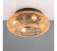 Reality Leuchten Lillesand lampada a soffitto con ventilatore, E27, R67302126, Lillesand [Lampade per Interni > Lampade a Soffitto]