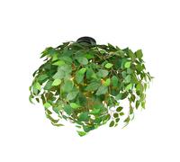 Reality Leuchten Plafoniera Leavy, nero/verde, Ø 70 cm, E14, a 3 luci R60463015