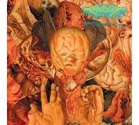 reality rotten to the core