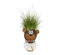 Realizzandoo Testa Erba Che Cresce Cane - Pianta Capelli Cagnolino con Vasetto e Ciondolo Osso - Idea Regalo Originale per Amanti dei Cani - Decorazione Scrivania Ufficio - Grass Head 12,5 cm