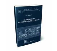 Realtà sociale ed effettività della norma. Scritti giuridici