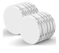 Realth Magneti Neodimio Mini Magneti 20 mm x 2 mm, Potenti per Frigorifero, Ufficio, Progetti Scientifici, Edilizia e Artigianato, Confezione da 12 (MC20212MG)