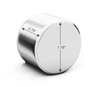 Realth Magnets Disco Neodimio Forti super forte da parete Magneti Permanenti 30mm*20mm per Frigo Ufficio Progetto Scientifico e Artigianato 1 Confezione Mini magneti rotondi (MC301)