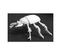 Reaper Miniatures - 02564 - Scarabeo gigante - DHL