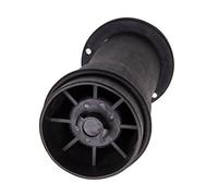 Rear Air Suspension Spring Bag RKB101200 Compatible For LAND ROVER DISCOVERY 2