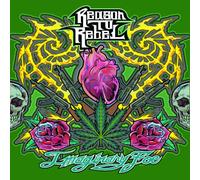 Reason to Rebel - Imaginary Foe